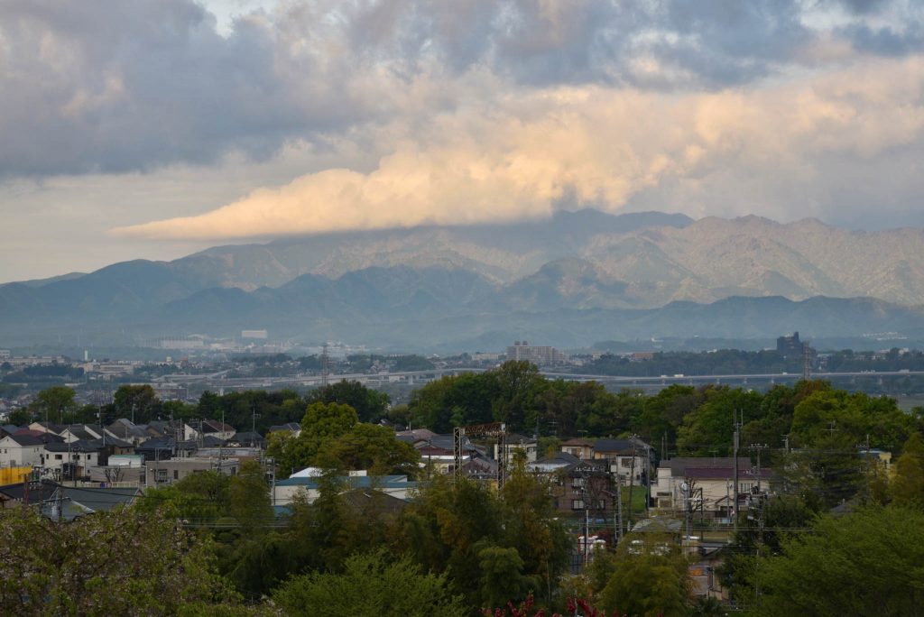 座間谷戸山公園 伝説の丘から見た丹沢大山です